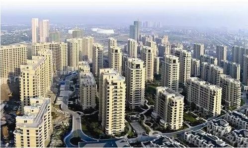 國慶光看不買 網紅盤入市 改善戶型歇菜